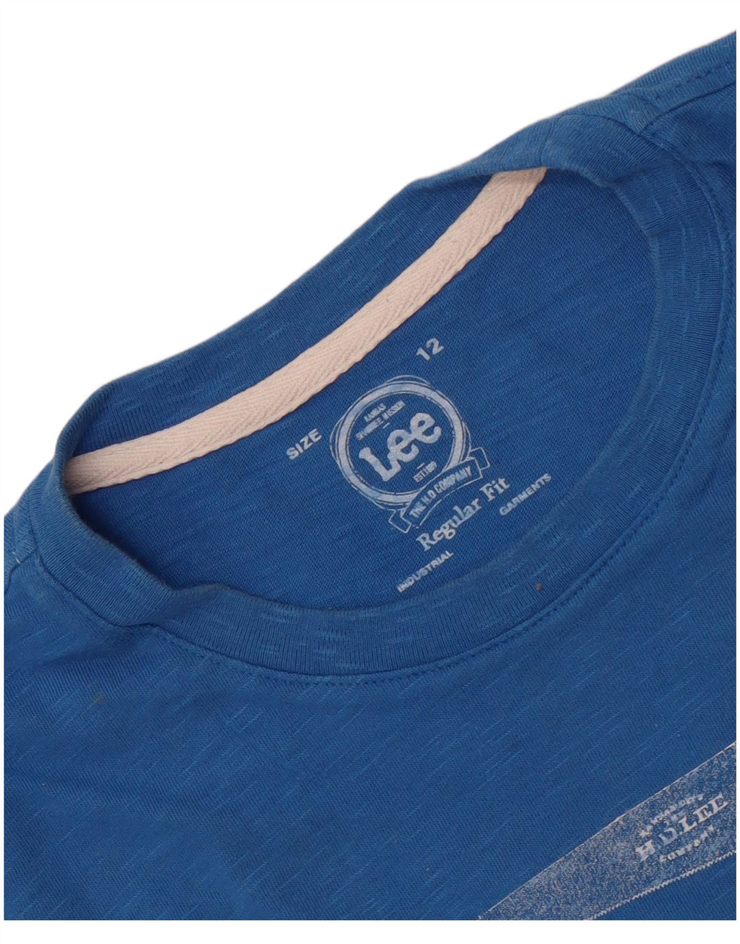 Lee Boys Regular Fit Graphic T-Shirt Top 11-12 Years Blue Cotton