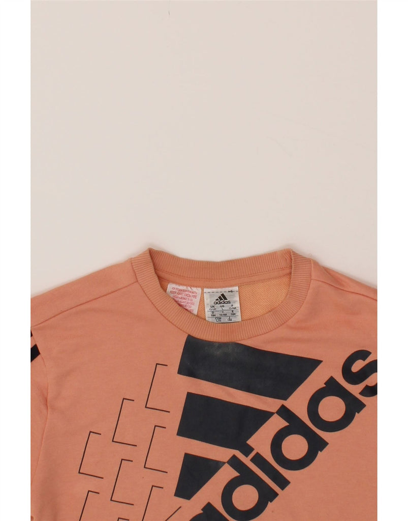 ADIDAS Girls Graphic Sweatshirt Jumper 13-14 Years Pink Cotton Vintage Adidas and Second-Hand Adidas from Messina Hembry 