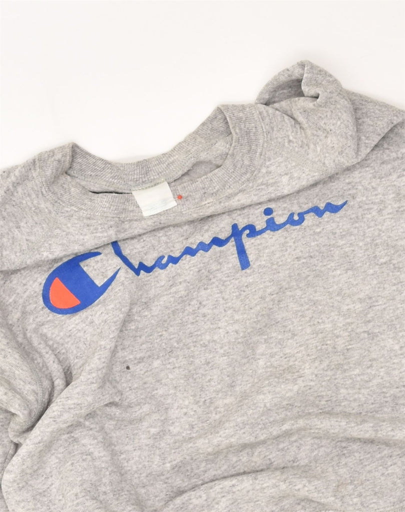 CHAMPION Mens Graphic Sweatshirt Jumper Large Grey Cotton | Vintage Champion | Thrift | Second-Hand Champion | Used Clothing | Messina Hembry 