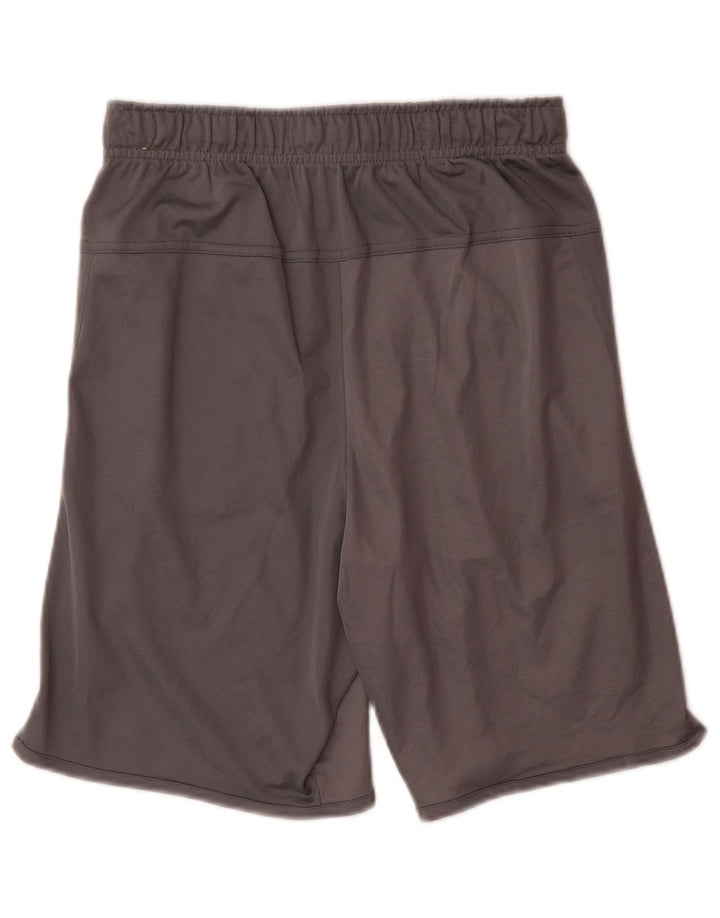 Nike Mens Dri Fit Sport Shorts Small Grey Polyester