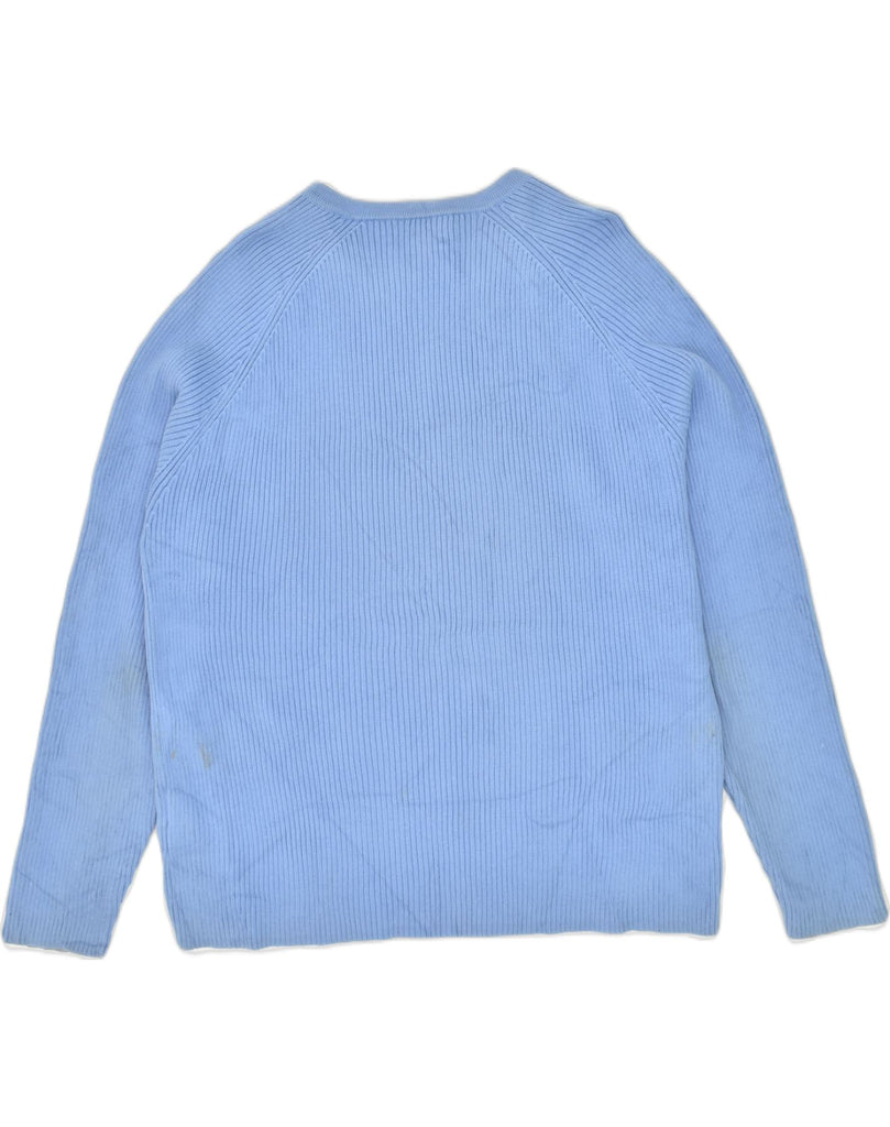 TOMMY HILFIGER Mens V-Neck Jumper Sweater Large Blue Cotton | Vintage Tommy Hilfiger | Thrift | Second-Hand Tommy Hilfiger | Used Clothing | Messina Hembry 