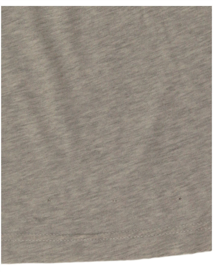 Lacoste Mens Regular Fit T-Shirt Top Size 4 Medium Grey Cotton