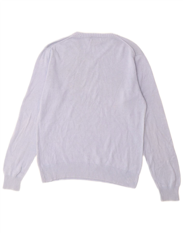 POLO RALPH LAUREN Boys V-Neck Jumper Sweater 13-14 Years XL  Blue Cotton