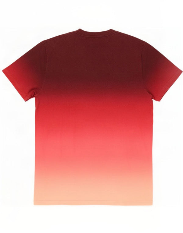 Hollister Mens T-Shirt Top Medium Burgundy Colourblock Cotton