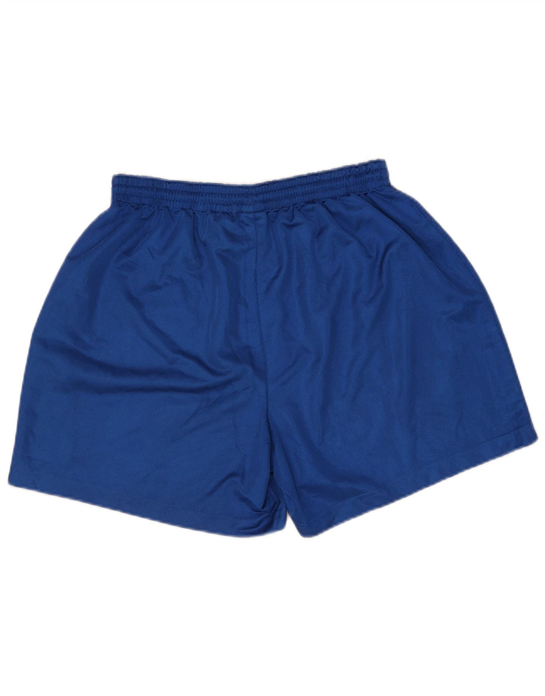 Nike Mens Sport Shorts XL Blue