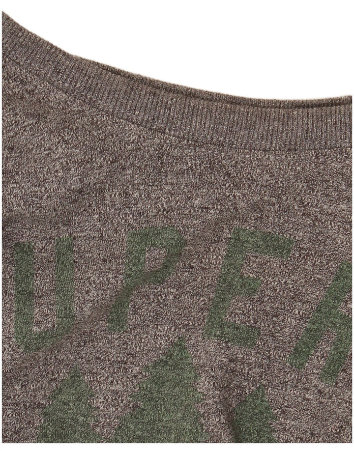 Superdry Mens Graphic T-Shirt Top Small Grey Flecked Cotton
