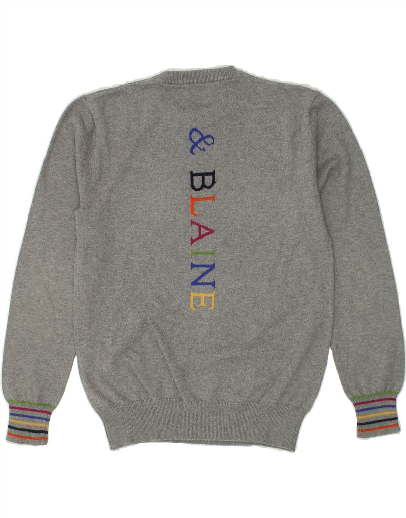 HARMONT & BLAINE Boys Graphic Crew Neck Jumper Sweater 11-12 Years Grey | Vintage Harmont & Blaine | Thrift | Second-Hand Harmont & Blaine | Used Clothing | Messina Hembry 