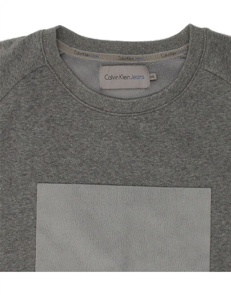 CALVIN KLEIN JEANS Mens Graphic Sweatshirt Jumper 2XL Grey Cotton | Vintage Calvin Klein Jeans | Thrift | Second-Hand Calvin Klein Jeans | Used Clothing | Messina Hembry 