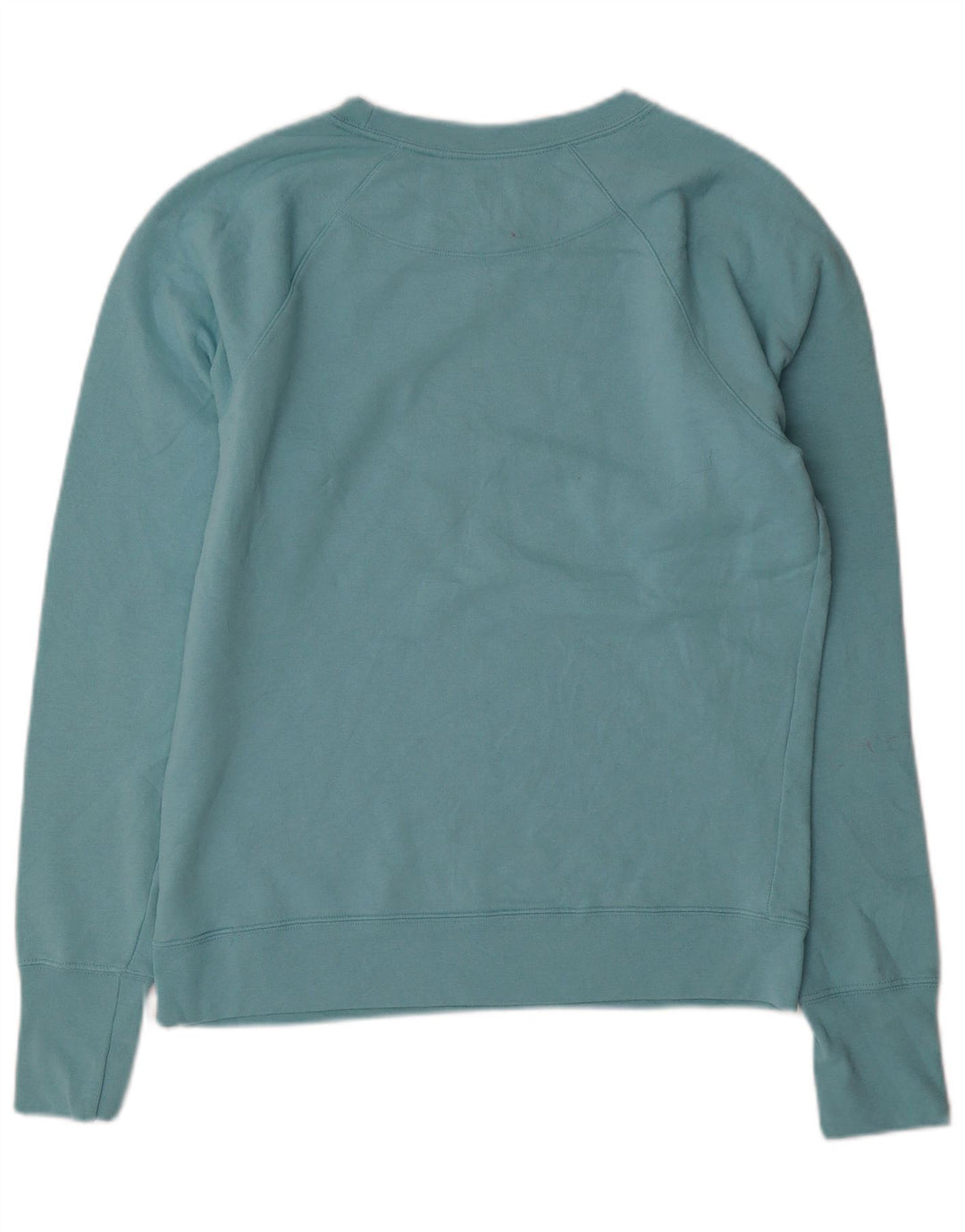 CHAMPION Mens Graphic Sweatshirt Jumper Medium Blue Polyester