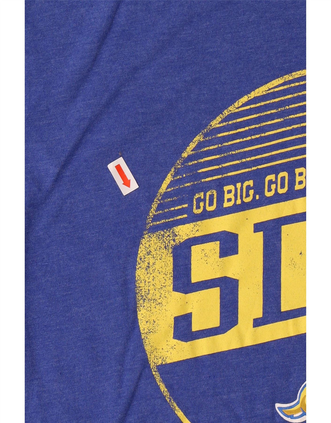 Russell Athletic Mens Graphic T-Shirt Top Medium Blue Cotton