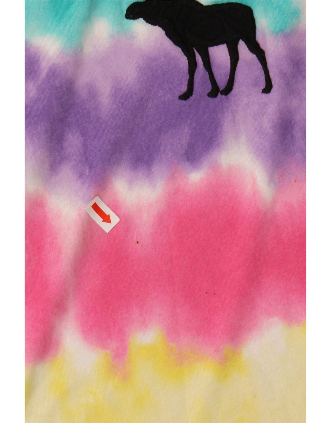 ABERCROMBIE & FITCH Girls Graphic T-Shirt Top 13-14 Years Multicoloured