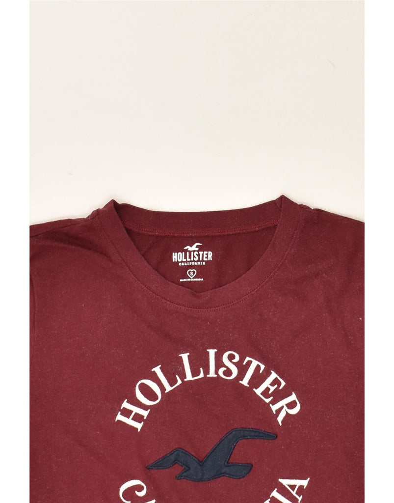 HOLLISTER Womens Graphic T-Shirt Top UK 10 Small Burgundy Cotton | Vintage Hollister | Thrift | Second-Hand Hollister | Used Clothing | Messina Hembry 