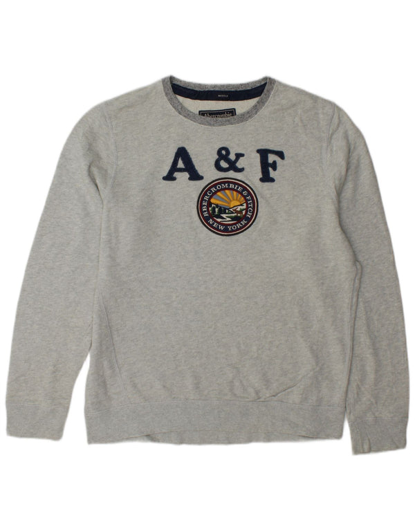 Abercrombie & Fitch Mens Muscle Graphic Sweatshirt Jumper Large Grey Cotton