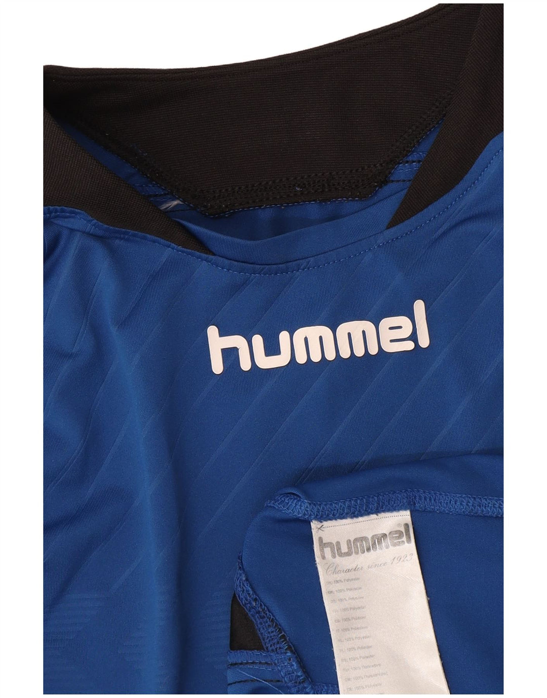 Hummel Mens Graphic Top Long Sleeve Medium Blue Polyester Sports