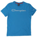 Champion Mens Graphic T-Shirt Top Medium Blue Cotton
