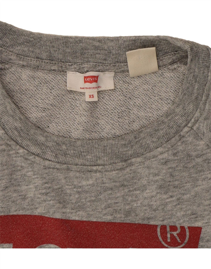 LEVI'S Womens Oversized Graphic Sweatshirt Jumper UK 6 XS Grey Flecked Vintage Levi's and Second-Hand Levi's from Messina Hembry 