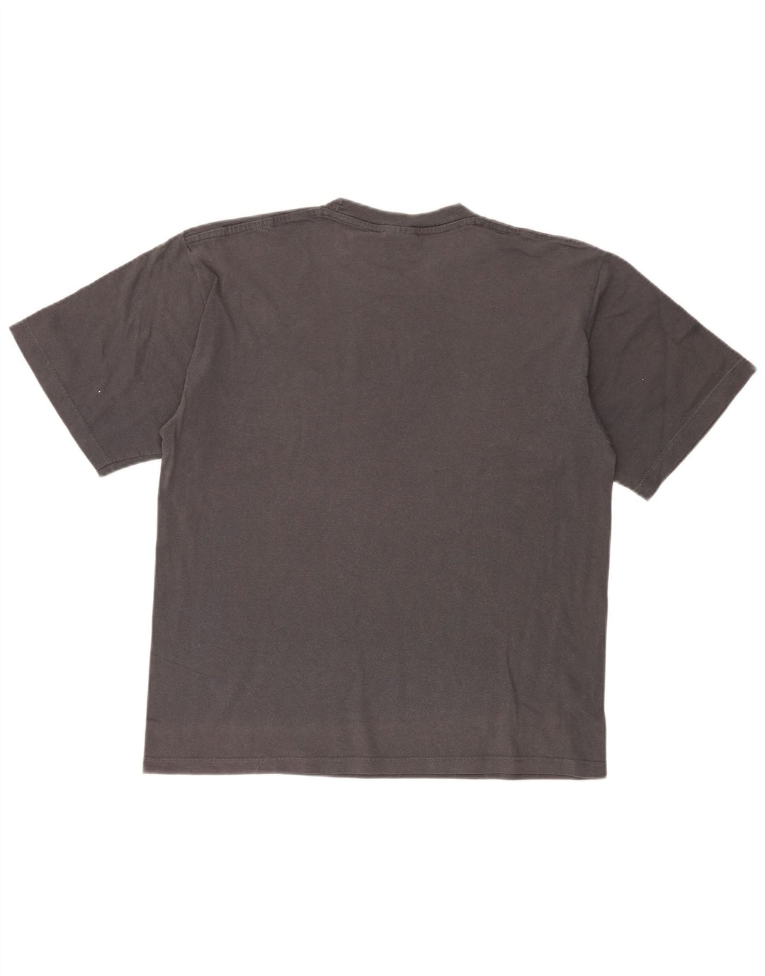 Champion Mens Graphic T-Shirt Top Large Grey Cotton