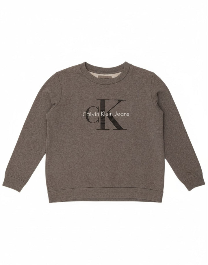 CALVIN KLEIN JEANS Mens Graphic Sweatshirt Jumper Large Grey Cotton