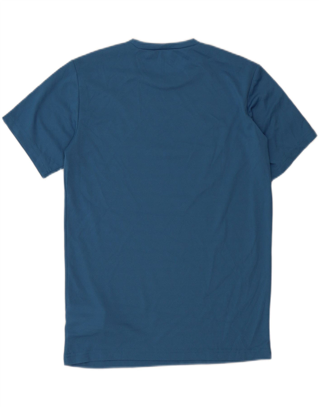 CHAMPION Boys Graphic T-Shirt Top 13-14 Years XL Blue Polyester Vintage Champion and Second-Hand Champion from Messina Hembry 