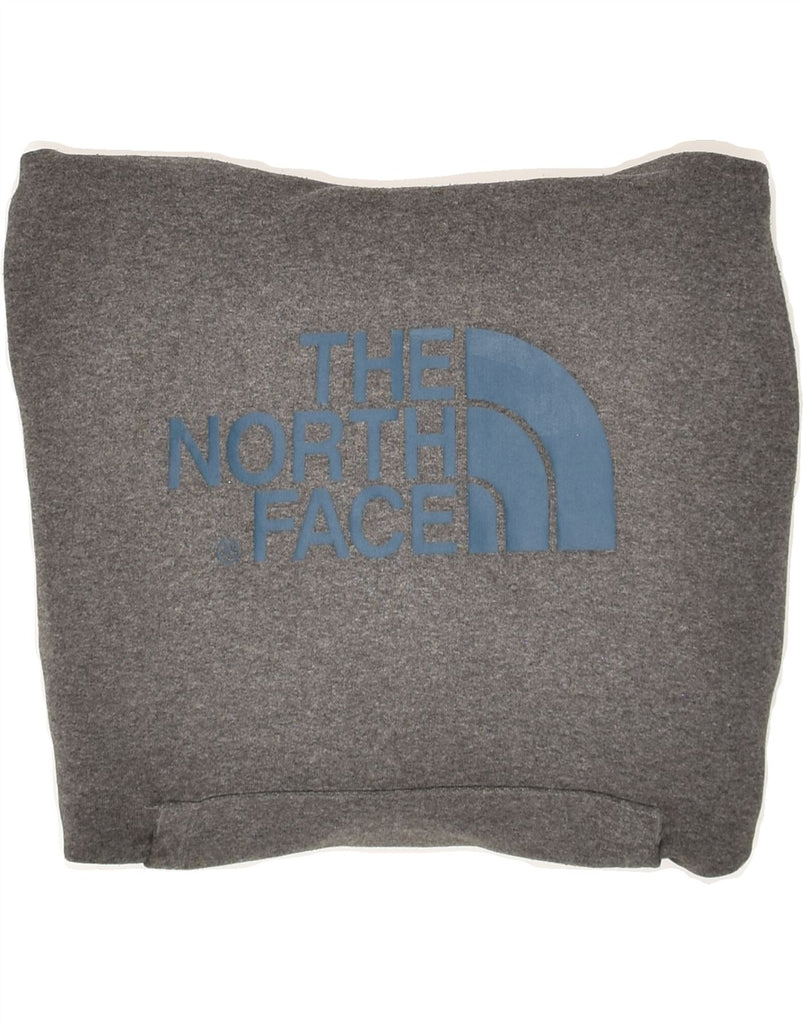 THE NORTH FACE Mens Graphic Hoodie Jumper Medium Grey Cotton | Vintage The North Face | Thrift | Second-Hand The North Face | Used Clothing | Messina Hembry 