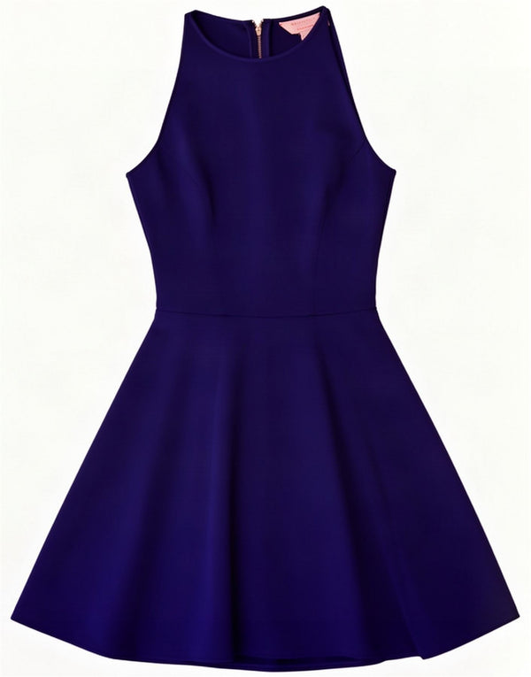 Ted Baker Womens Sleeveless A-Line Dress Size 1 XS Blue Polyester