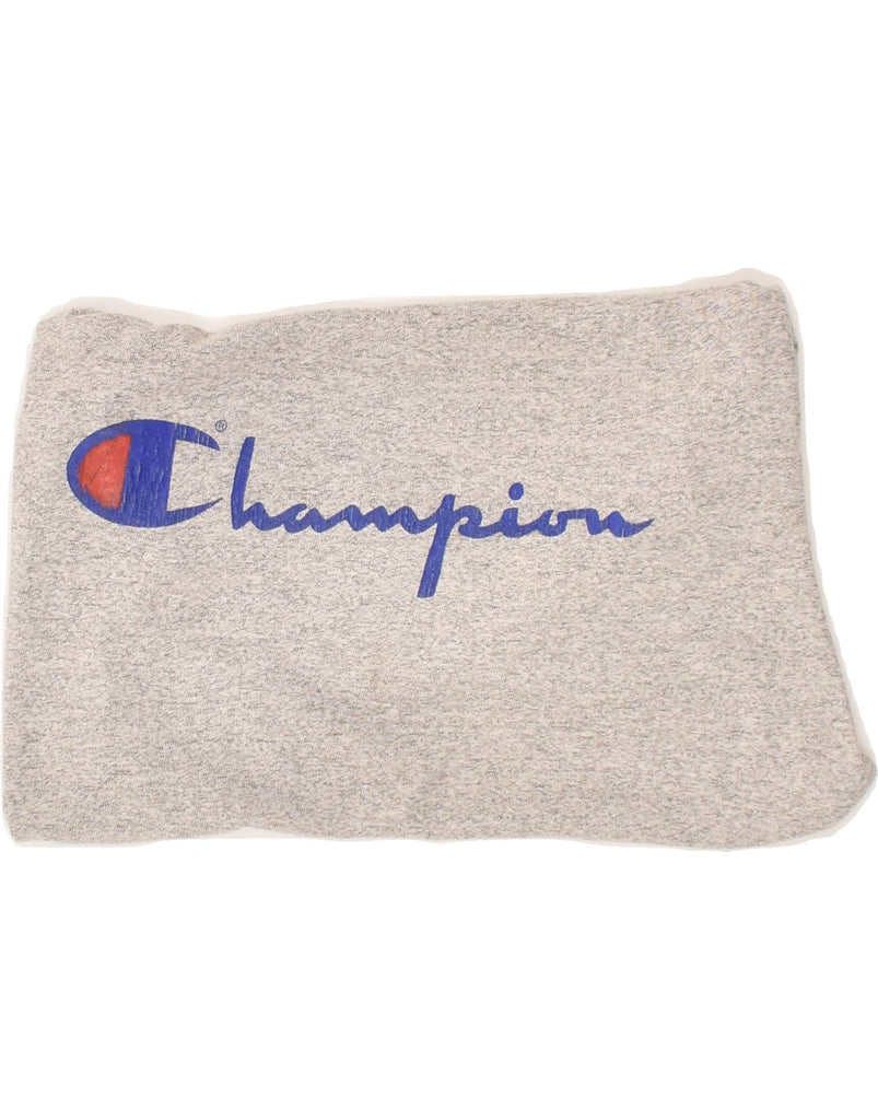 CHAMPION Womens Graphic Crop Top UK 12 Medium Grey | Vintage Champion | Thrift | Second-Hand Champion | Used Clothing | Messina Hembry 