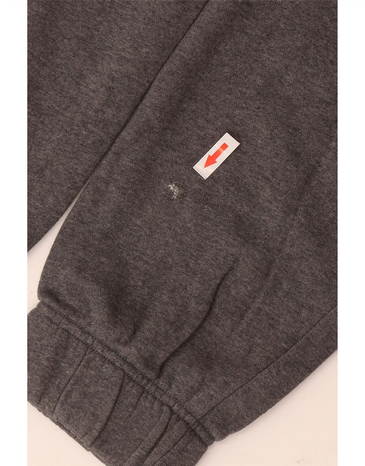 Nike Mens Tracksuit Trousers Joggers Large  Grey Cotton