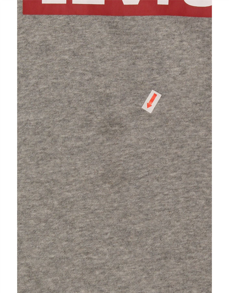 LEVI'S Mens Graphic Relaxed Fit Sweatshirt Jumper XL Grey Cotton Vintage Levi's and Second-Hand Levi's from Messina Hembry 