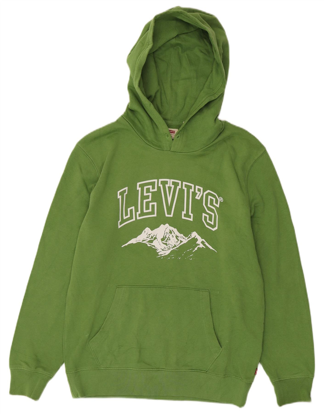Levi's Mens Standard Graphic Hoodie Jumper Small Green Cotton
