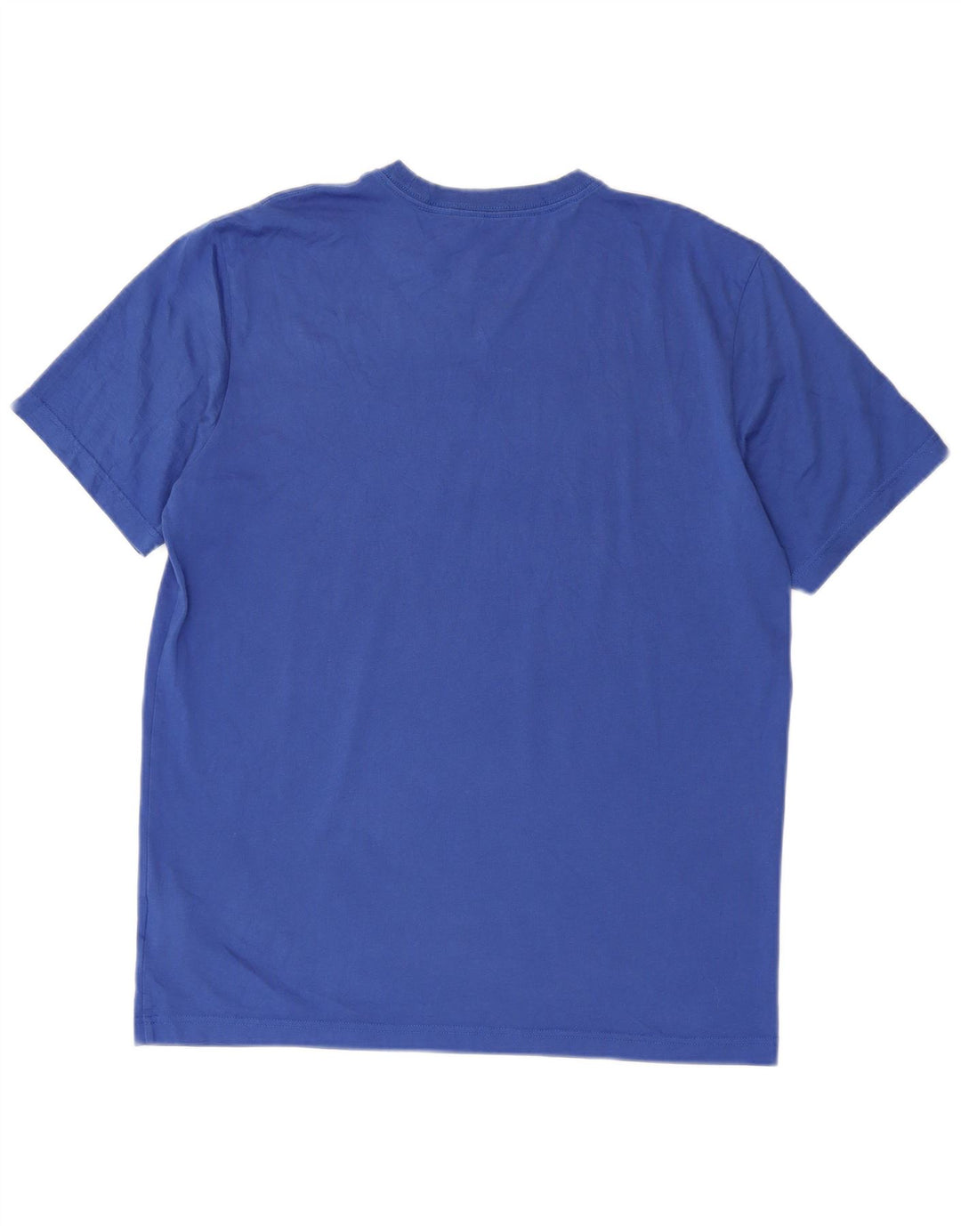 Nike Mens Dri Fit Graphic T-Shirt Top Large Blue Cotton