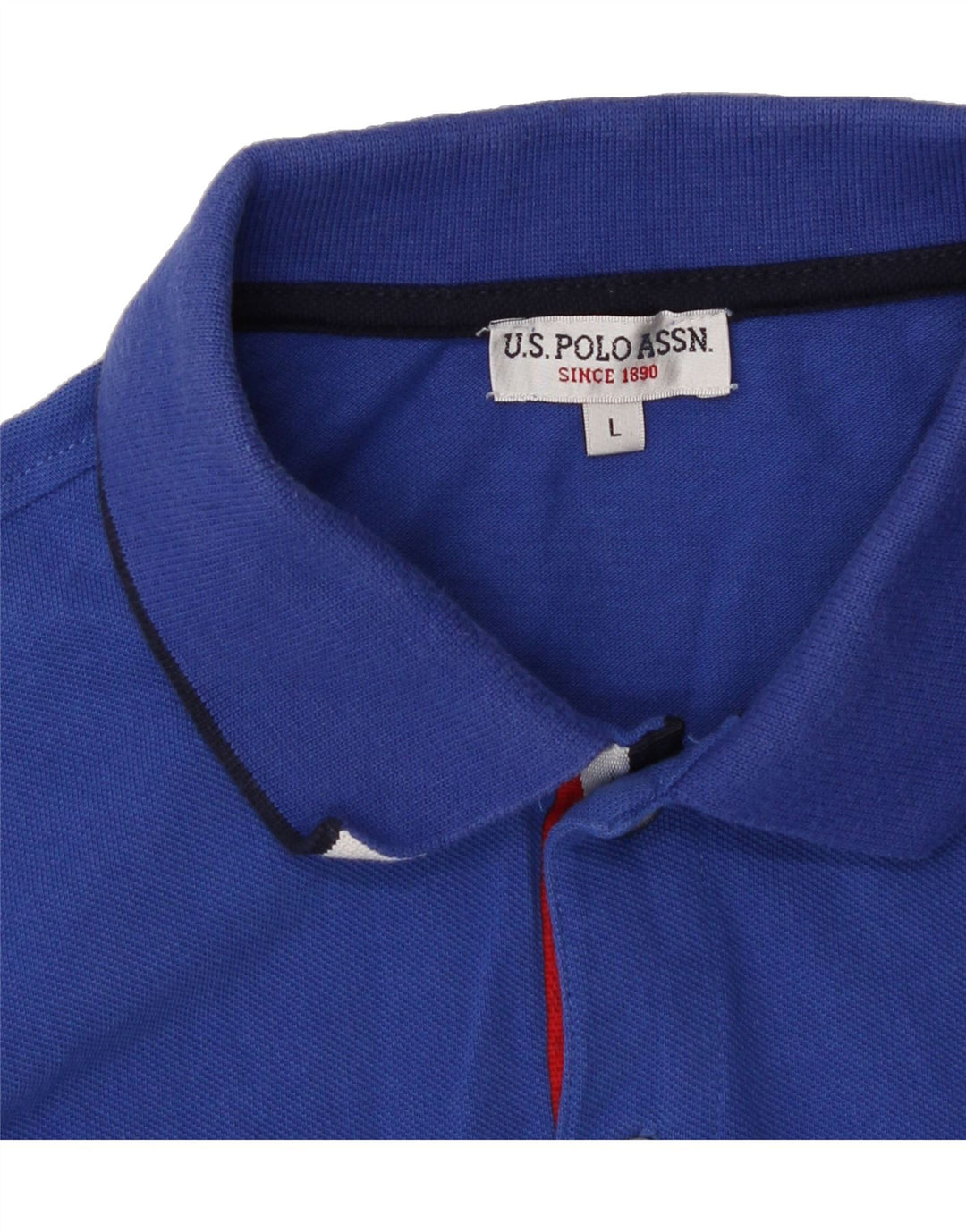 U.S. POLO ASSN. Mens Graphic Polo Shirt Large Blue Vintage U.S. Polo Assn. and Second-Hand U.S. Polo Assn. from Messina Hembry 