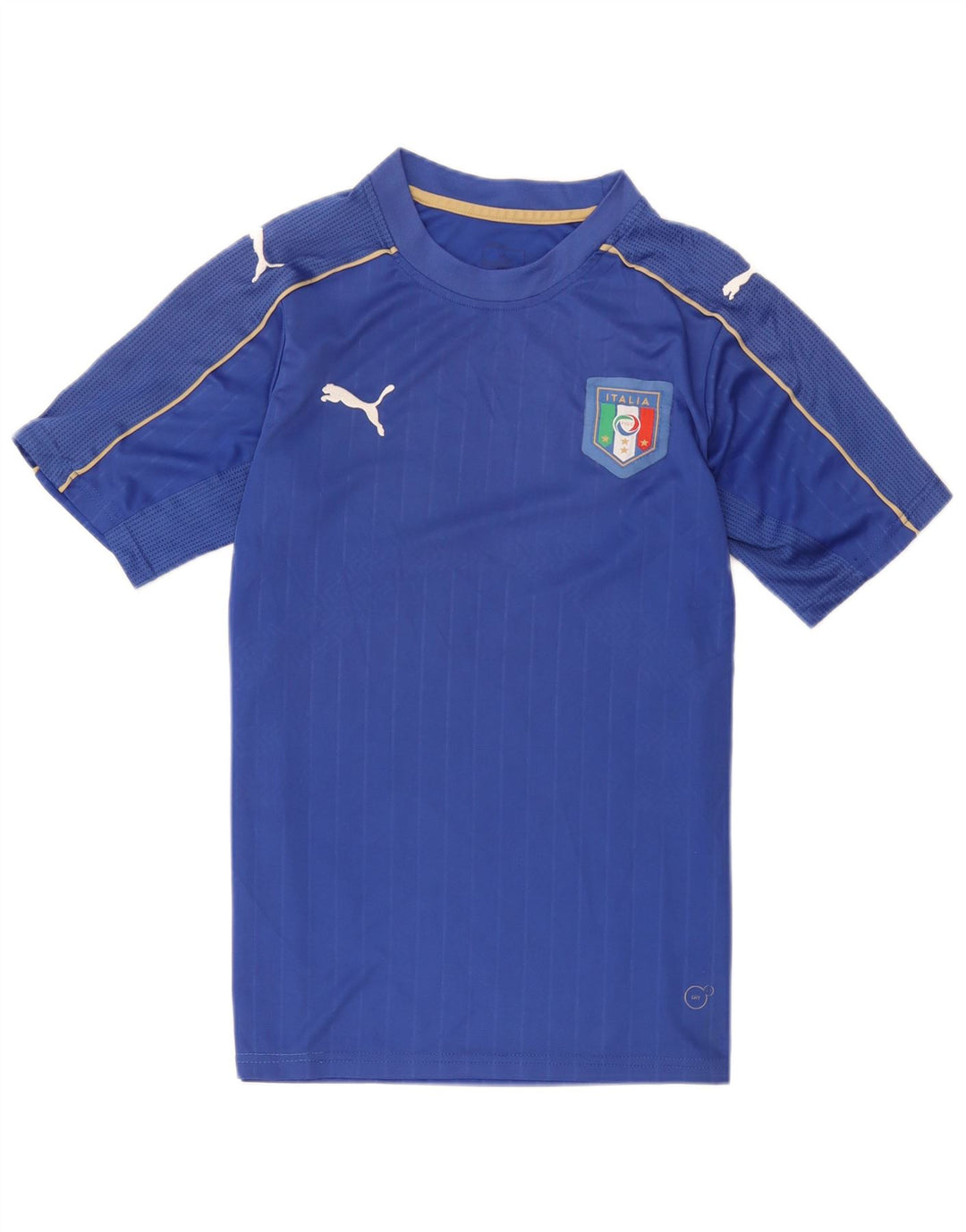 Puma Mens Italia Graphic T-Shirt Top Medium Blue Polyester