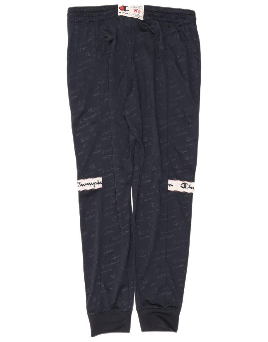 Champion Mens Graphic Tracksuit Trousers Joggers Large  Navy Blue Polyester
