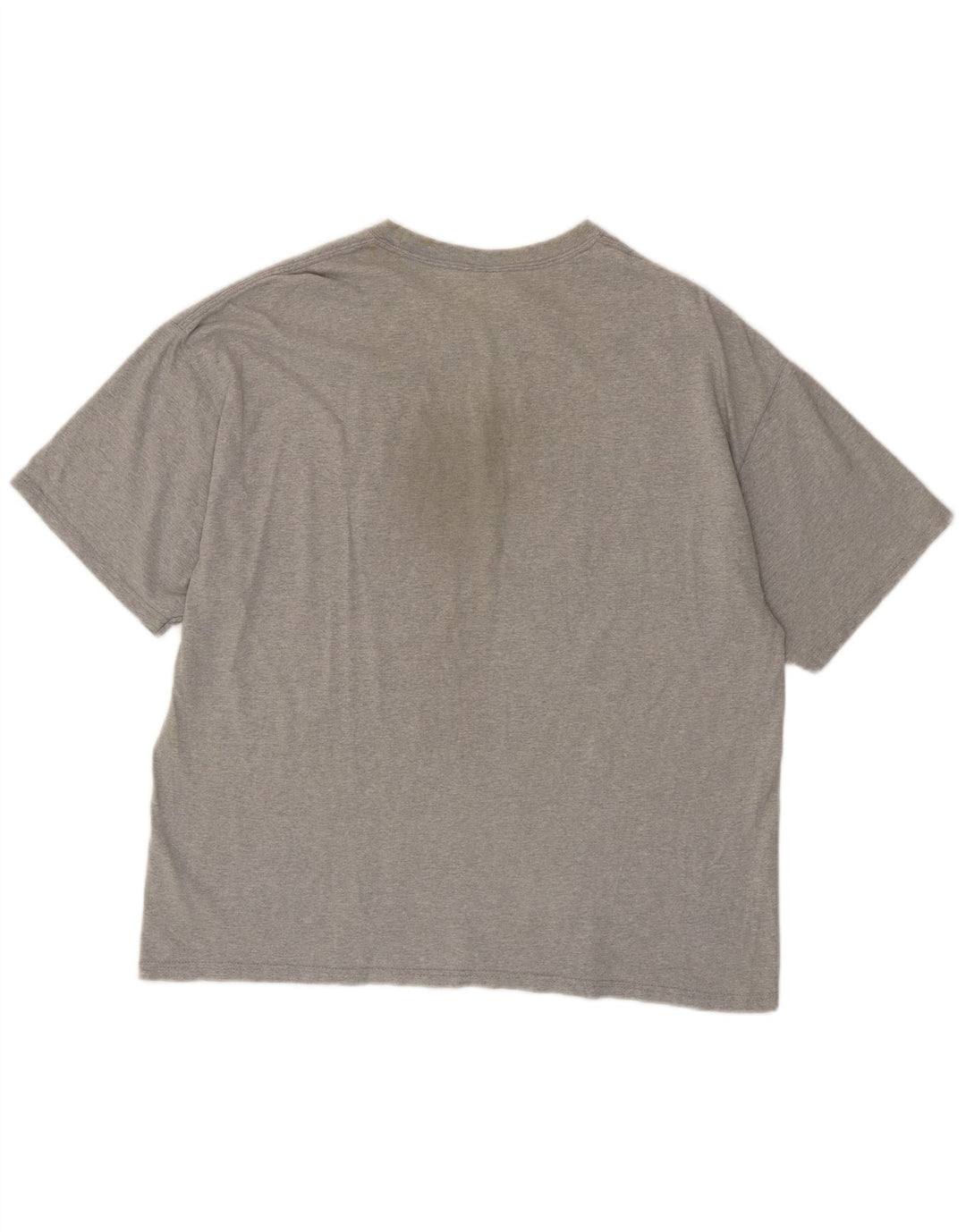 CHAMPION Mens T-Shirt Top Large Grey Flecked Cotton