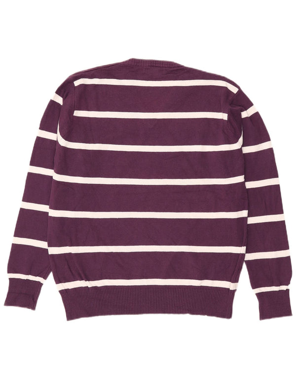 Zara Mens V-Neck Jumper Sweater XL Purple Striped Cotton