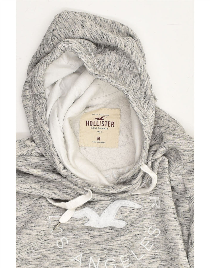 HOLLISTER Womens Graphic Hoodie Jumper UK 12 Medium Grey Pinstripe Cotton | Vintage Hollister | Thrift | Second-Hand Hollister | Used Clothing | Messina Hembry 