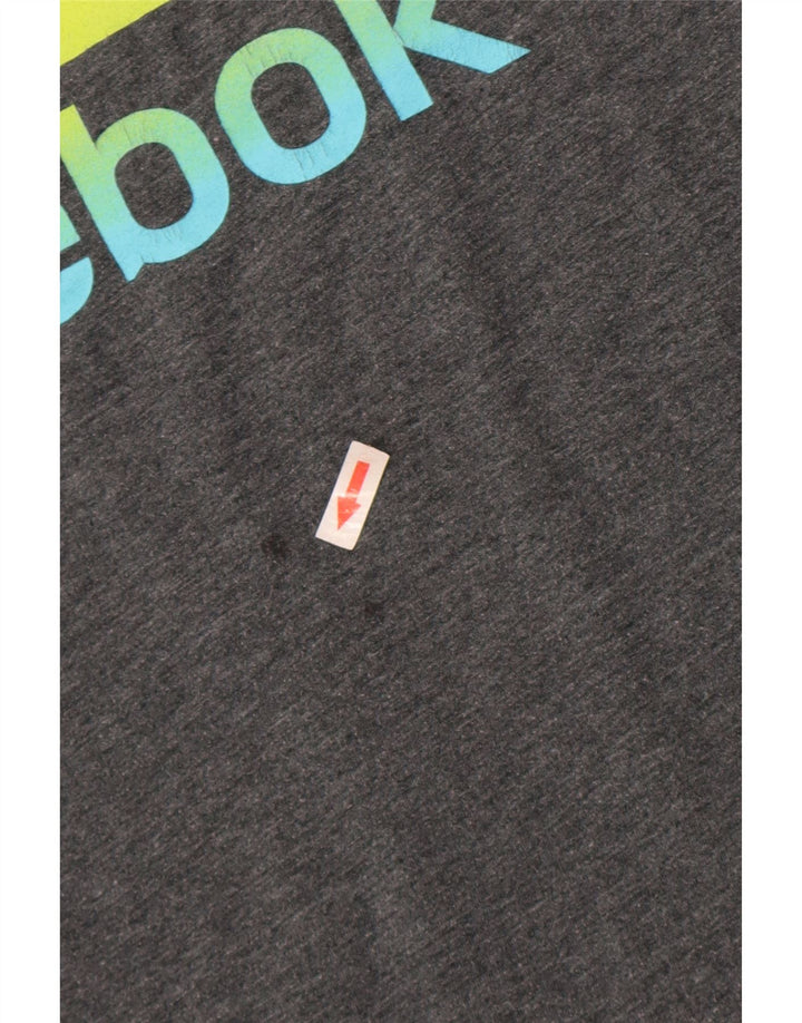 Reebok Mens Graphic T-Shirt Top Large Grey Polyester