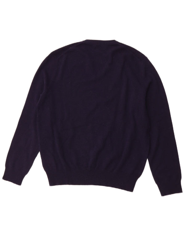 POLO RALPH LAUREN Mens V-Neck Jumper Sweater Medium Navy Blue Merino Wool