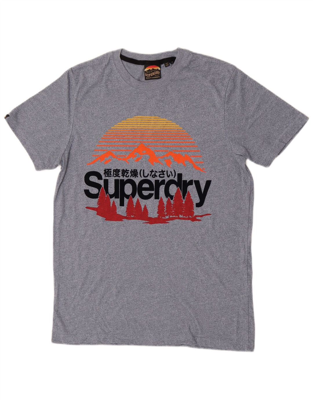 Superdry Mens Graphic T-Shirt Top Small Blue Cotton
