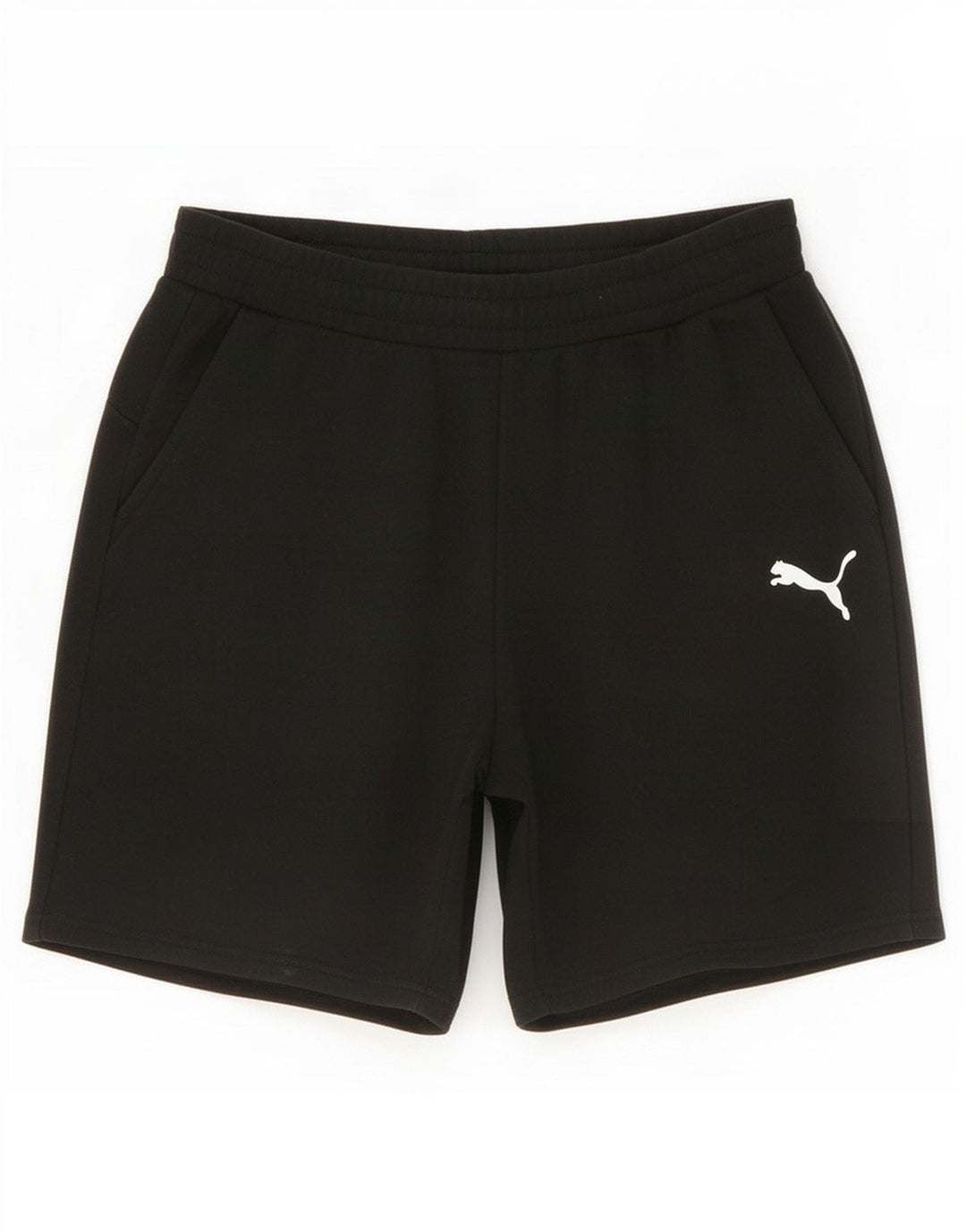 Puma Mens Sport Shorts Large Black
