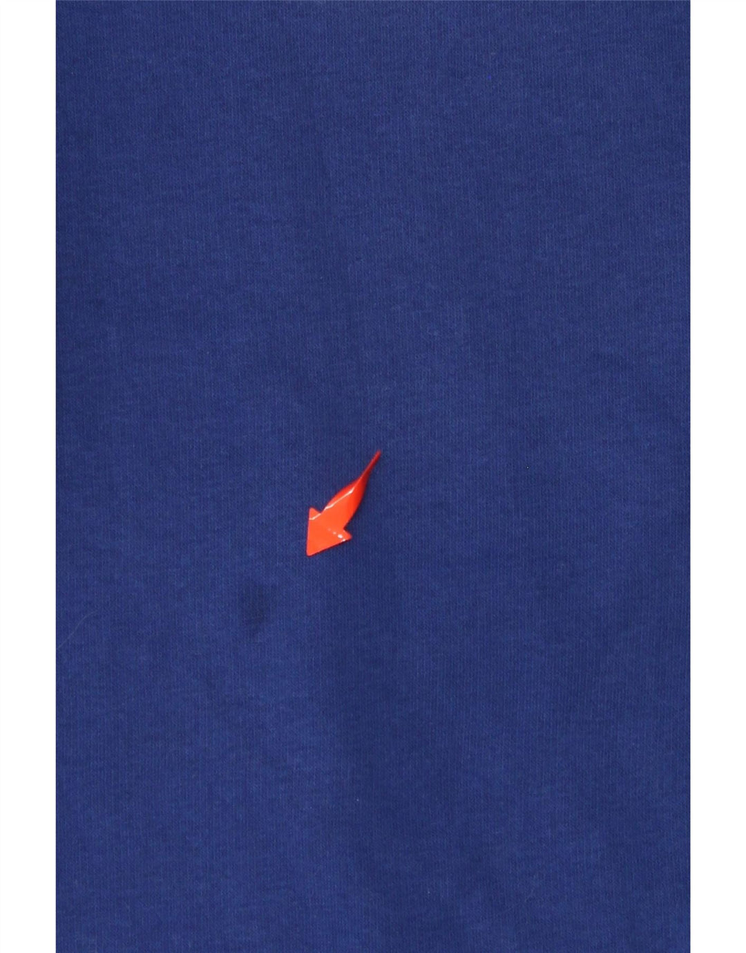 CHAMPION Mens Graphic Sweatshirt Jumper Small Blue Cotton