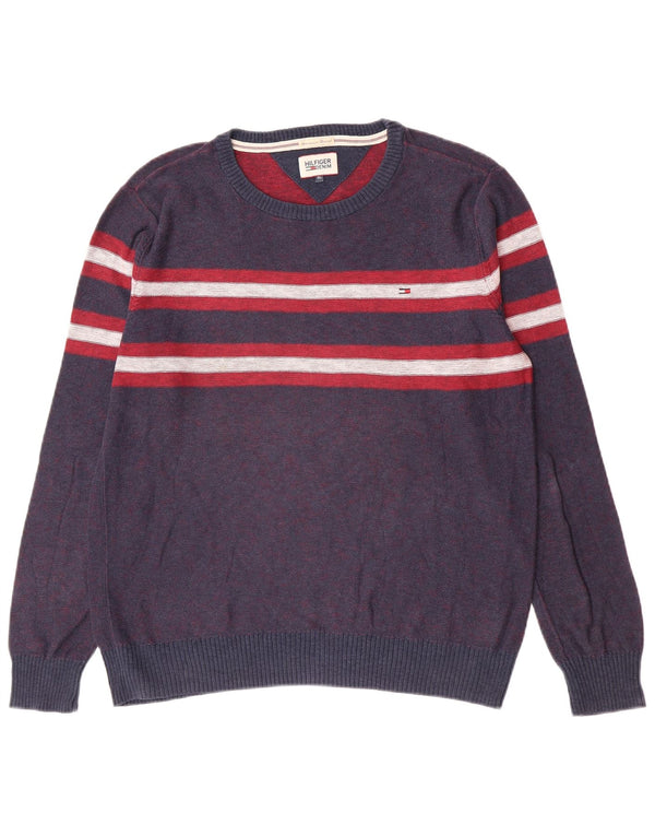 Tommy Hilfiger Boys Crew Neck Jumper Sweater 14-15 Years XL Blue Striped