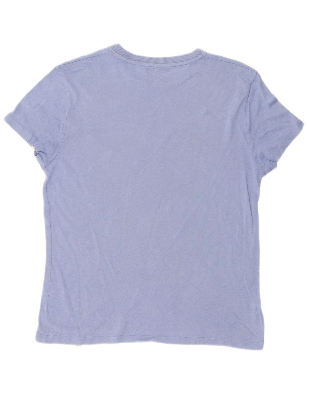 Zara Mens T-Shirt Top Small Blue Cotton
