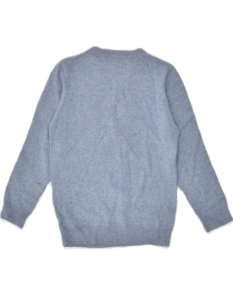 GANT Boys Graphic Crew Neck Jumper Sweater 7-8 Years Medium  Blue | Vintage Gant | Thrift | Second-Hand Gant | Used Clothing | Messina Hembry 