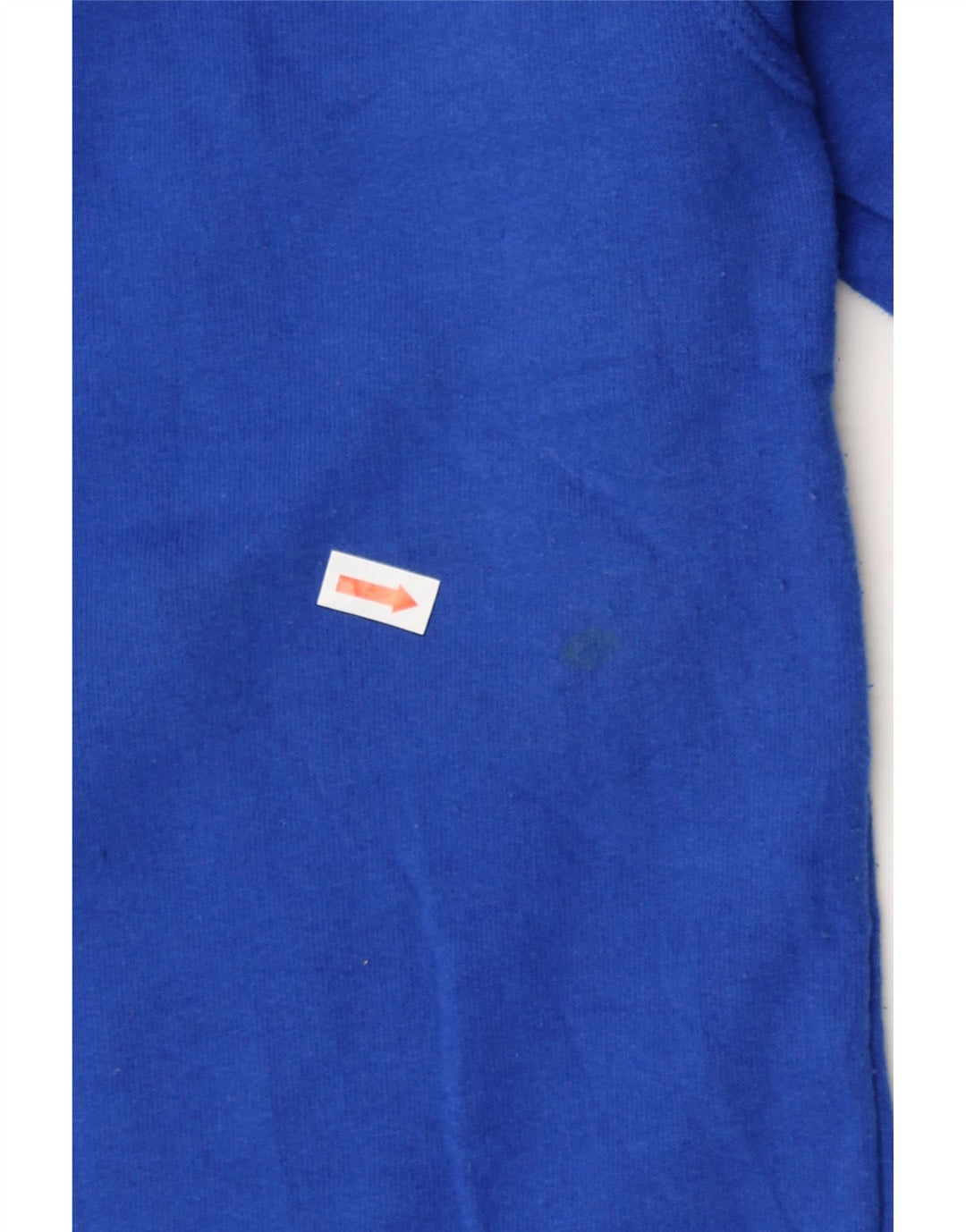 CHAMPION Mens Graphic Sweatshirt Jumper Medium Blue Cotton Vintage Champion and Second-Hand Champion from Messina Hembry 