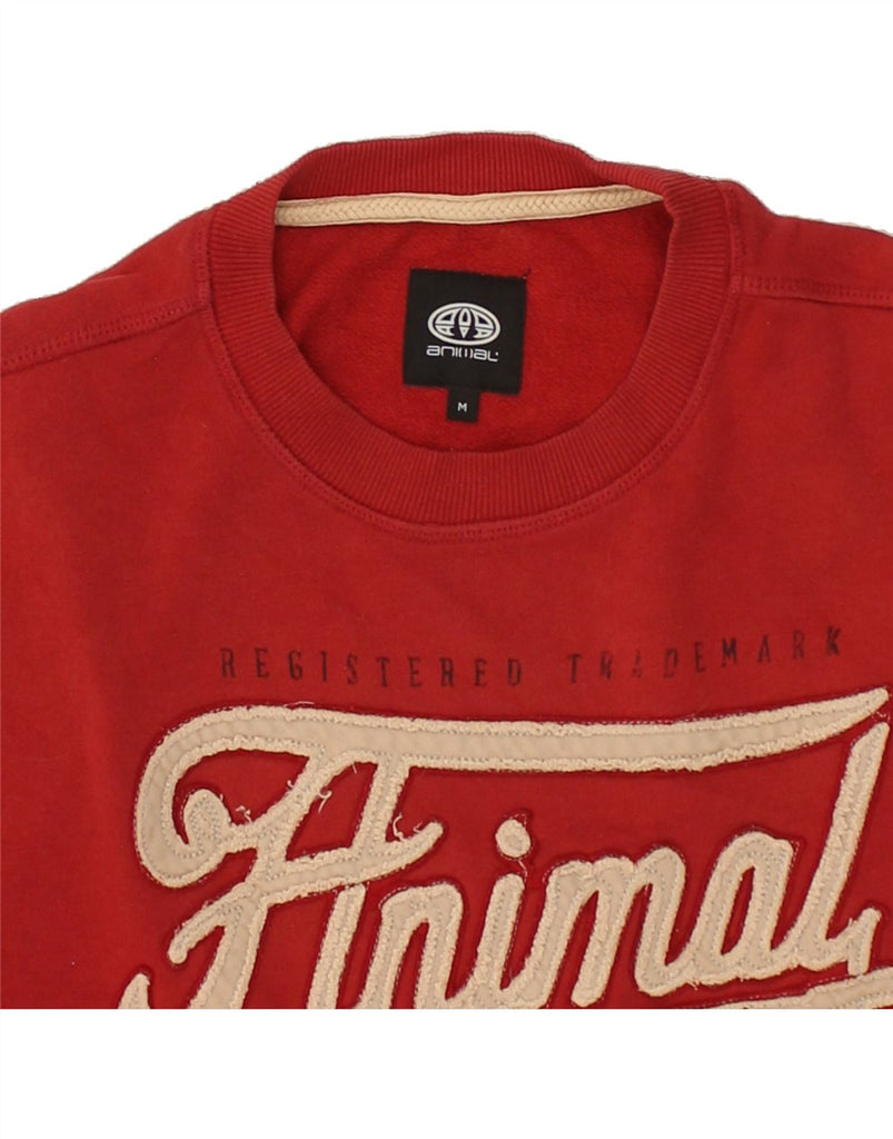 ANIMAL Mens Graphic Sweatshirt Jumper Medium Red Cotton | Vintage Animal | Thrift | Second-Hand Animal | Used Clothing | Messina Hembry 