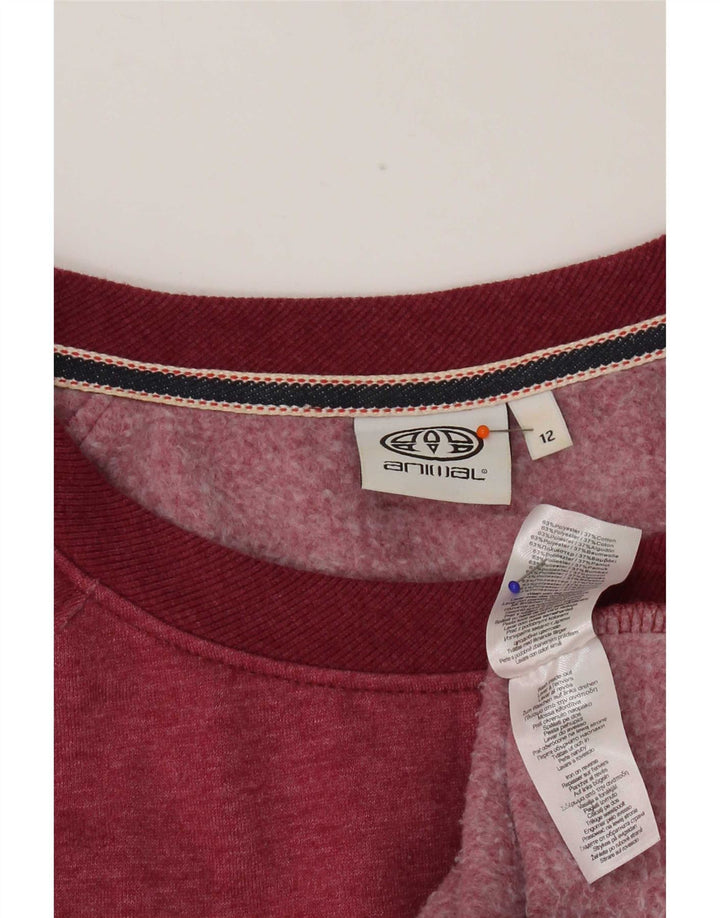 Animal Womens Graphic Sweatshirt Jumper UK 12 Medium Pink Polyester
