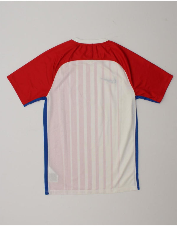 Nike Mens Dri Fit T-Shirt Top Small Red Striped Polyester