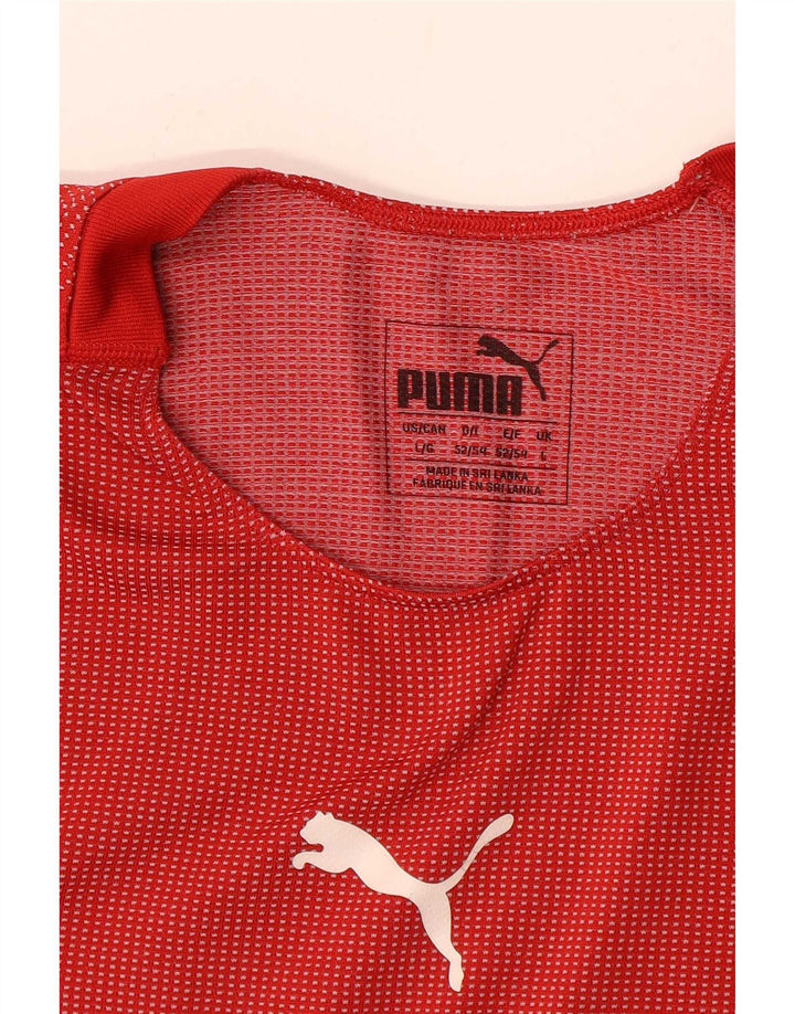 Puma Mens Graphic T-Shirt Top Large Red Striped