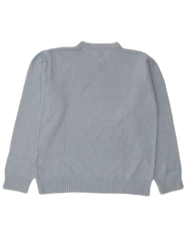 Tommy Hilfiger Mens V-Neck Jumper Sweater Medium Blue Cotton